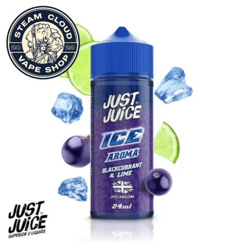 Just Juice Blackcurrant & Lime 24ml/120